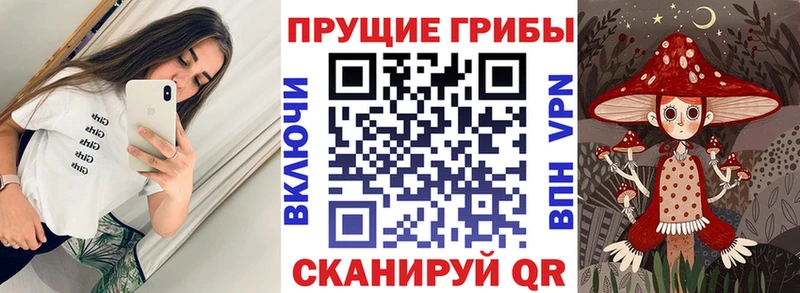 Галлюциногенные грибы GOLDEN TEACHER  цены наркотик  Красный Сулин 